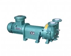 2BV型水環式真空泵-(2)